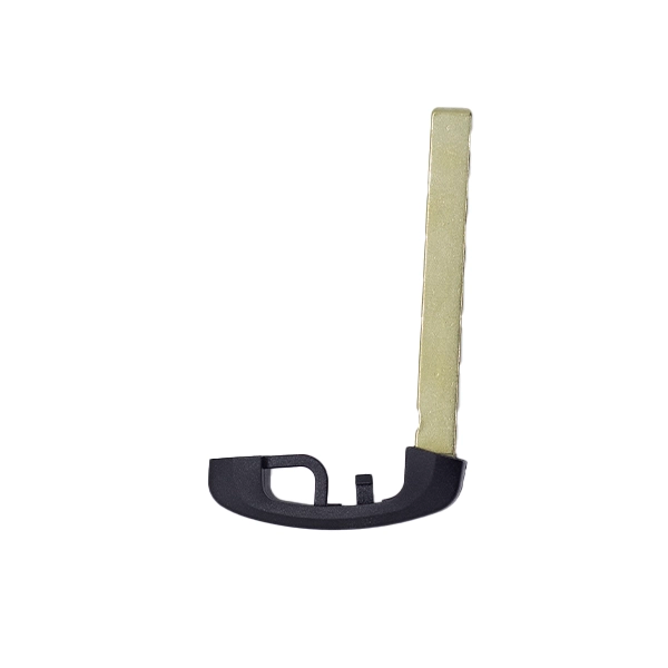 Télécommande Keyless Go 3 Boutons Bmw Fem - Bdc Serie F | 66129312523