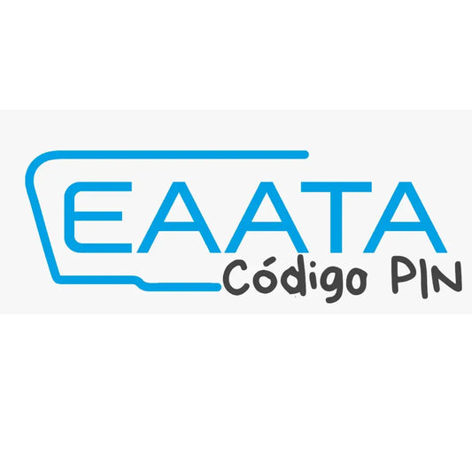 Codice Pin Saab