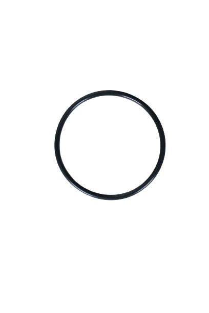 Sangle de remplacement Xhorse Dolphin XP005