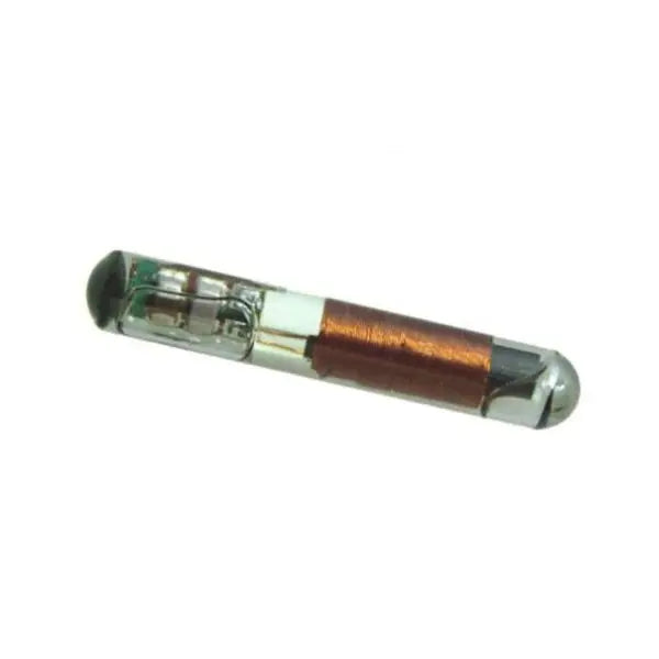 Transpondeur Id48 Can Vw